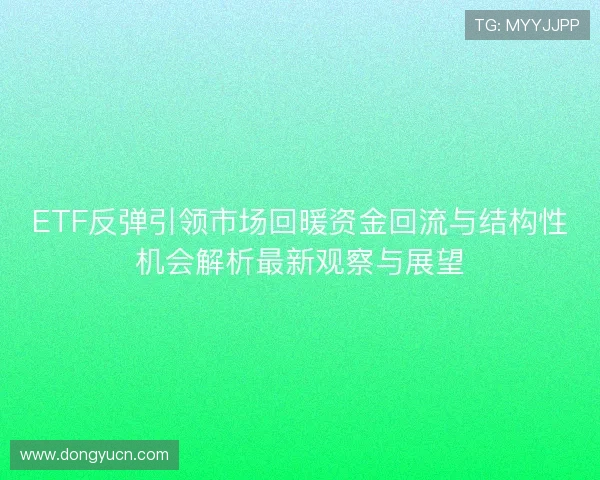 ETF反弹引领市场回暖资金回流与结构性机会解析最新观察与展望 ETF反弹引领市场回暖资金回流与结构性机会解析最新观察与展望